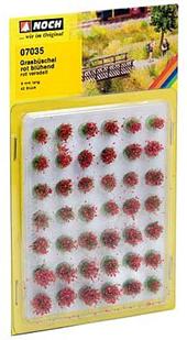 Descripci�n: Descripci�n: Descripci�n: NOCH 07035.jpg