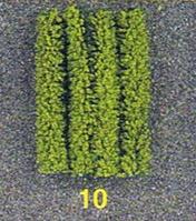 Descripci�n: Descripci�n: Descripci�n: Descripci�n: 10