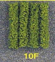 Descripci�n: Descripci�n: Descripci�n: Descripci�n: 10F