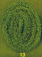 Descripcin: Descripcin: Descripcin: Descripcin: 13