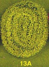 Descripci�n: Descripci�n: Descripci�n: Descripci�n: 13AA