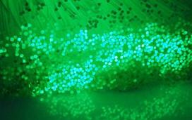 Descripci�n: Descripci�n: Descripci�n: Descripci�n: Descripci�n: Descripci�n: Descripci�n: Descripci�n: Descripci�n: Descripci�n: Descripci�n: FIBRA OPTICA